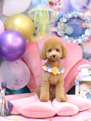 20240824ごんくん